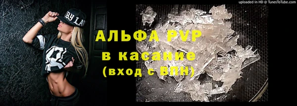 дживик Гусь-Хрустальный