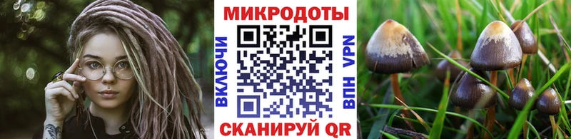 Галлюциногенные грибы прущие грибы  Новомосковск 